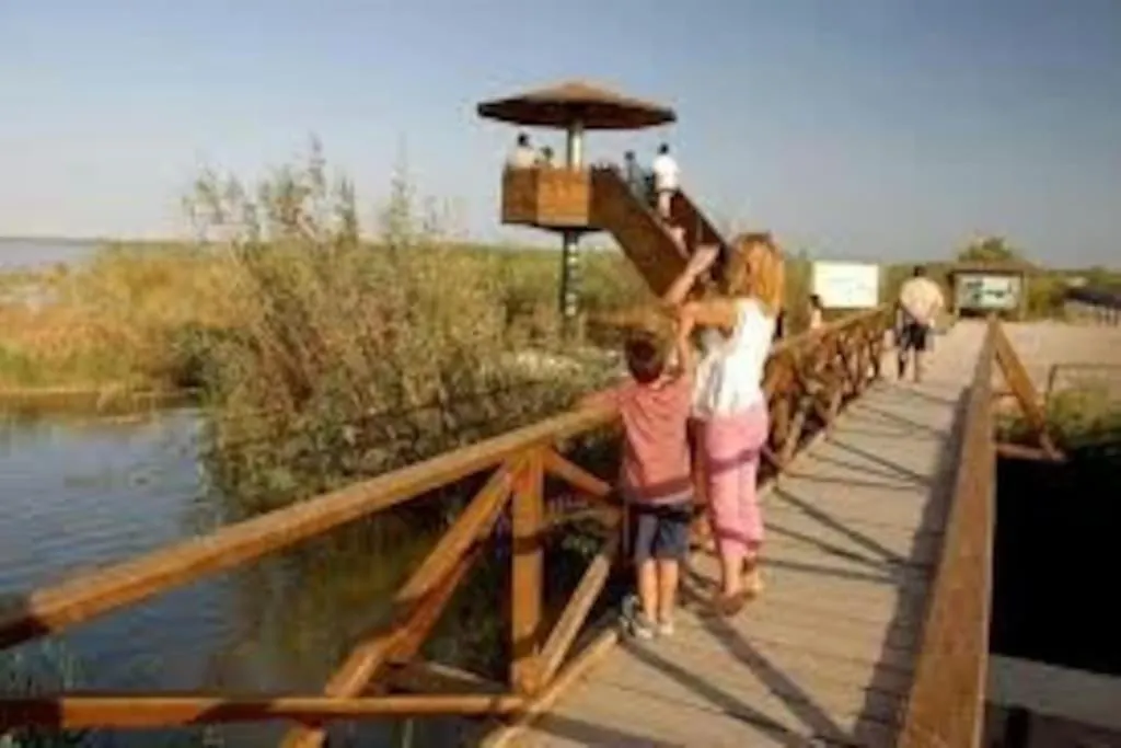 Relax, Natura Y Playa En El Corazon Del Delta De L'Ebre Deltebre Holiday home